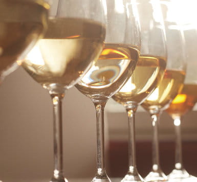 2012 : Symposium "Pourquoi aimer le vin?"