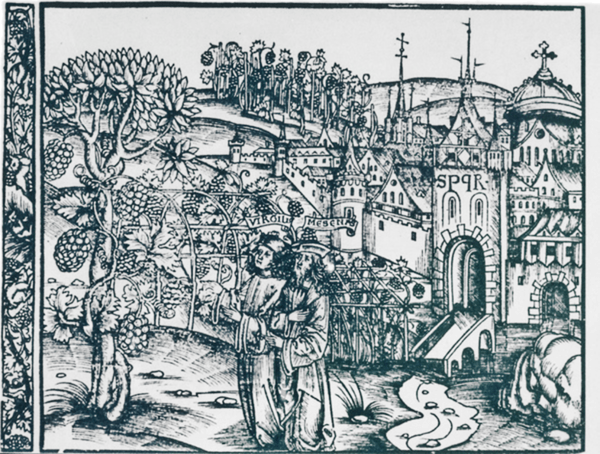 2024 : Les Vignerons Paysagistes